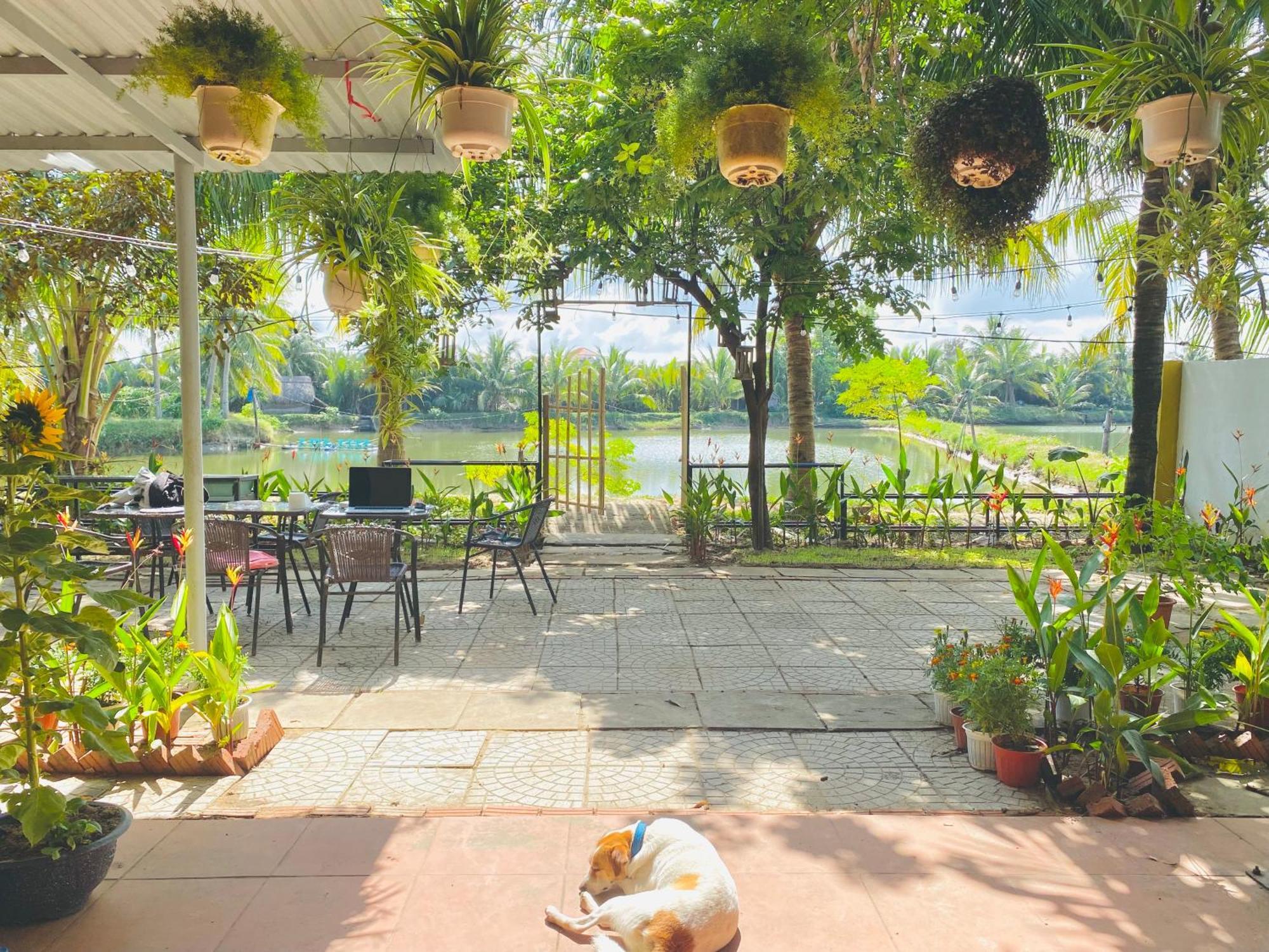 Laoxao Lakeview Homestay Hoi An Dış mekan fotoğraf