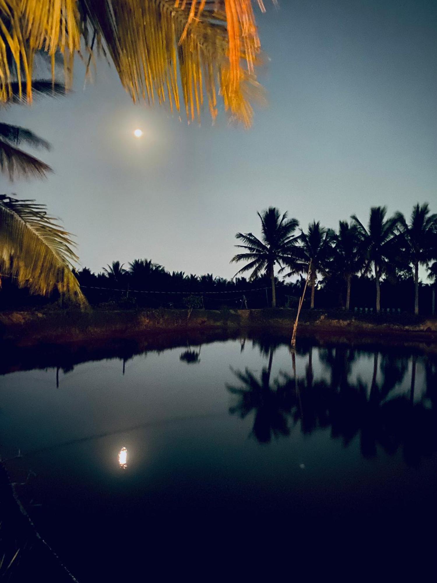 Laoxao Lakeview Homestay Hoi An Dış mekan fotoğraf