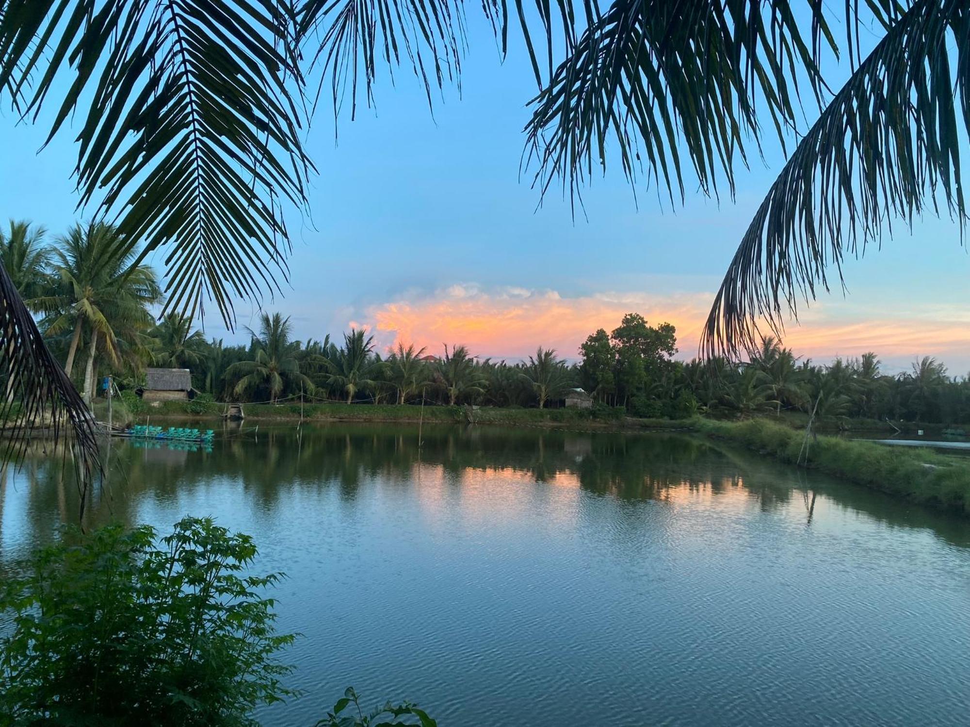 Laoxao Lakeview Homestay Hoi An Dış mekan fotoğraf